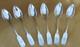 6 Antique Sterling Silver Teaspoons 925 Goehring United States 1890/1920