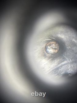 ANTIQUE SOLID SILVER DRAGGER 1st ROOSTER & BACCARAT CRYSTAL COAT OF ARMS LATE 18TH CENTURY ANTIQUE SOLID SILVER DRAGGER 1st ROOSTER & BACCARAT CRYSTAL COAT OF ARMS LATE 18TH CENTURY