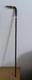 Antique Cane With Crocodile Head Solid Silver Colonial Exhibition