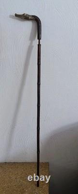 Antique Cane with Crocodile Head Solid Silver Colonial Exhibition
