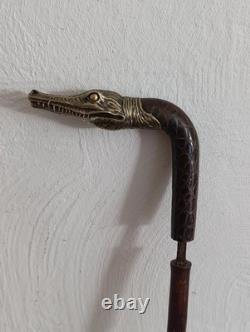 Antique Cane with Crocodile Head Solid Silver Colonial Exhibition