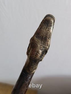 Antique Cane with Crocodile Head Solid Silver Colonial Exhibition