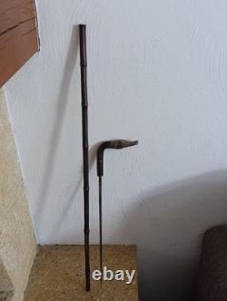 Antique Cane with Crocodile Head Solid Silver Colonial Exhibition