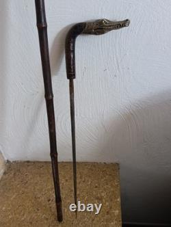 Antique Cane with Crocodile Head Solid Silver Colonial Exhibition
