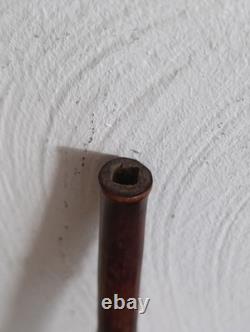 Antique Cane with Crocodile Head Solid Silver Colonial Exhibition