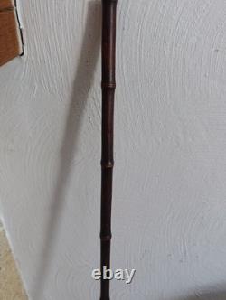 Antique Cane with Crocodile Head Solid Silver Colonial Exhibition