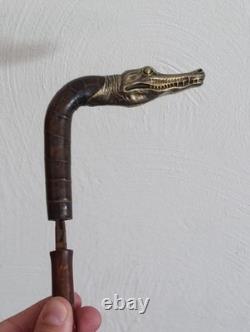 Antique Cane with Crocodile Head Solid Silver Colonial Exhibition