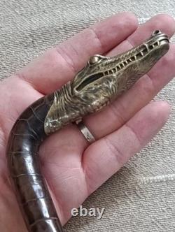 Antique Cane with Crocodile Head Solid Silver Colonial Exhibition