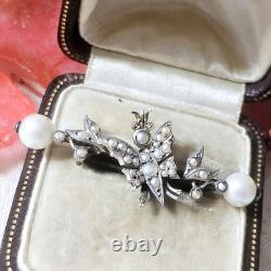 Antique Collar Brooch Butterfly Fine Pearls on Vermeil 19th Century 42x17mm