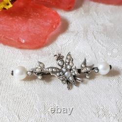 Antique Collar Brooch Butterfly Fine Pearls on Vermeil 19th Century 42x17mm
