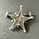 Antique Silver Brooch Digne Star Saint Vincent Pentacrine Rare