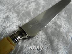 Antique box of 12 knives with solid silver blades Minerva