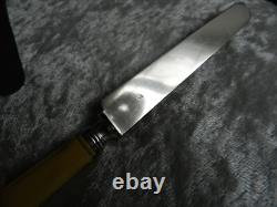 Antique box of 12 knives with solid silver blades Minerva