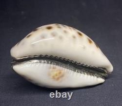 Antique speckled shell snuffbox in solid silver early 19th century