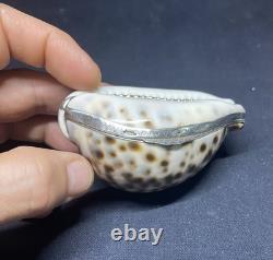 Antique speckled shell snuffbox in solid silver early 19th century