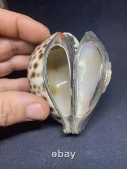 Antique speckled shell snuffbox in solid silver early 19th century