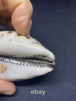 Antique speckled shell snuffbox in solid silver early 19th century