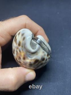 Antique speckled shell snuffbox in solid silver early 19th century