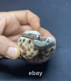 Antique speckled shell snuffbox in solid silver early 19th century