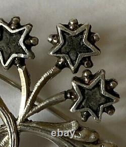 Former Solid Silver XIX Brooch, Pentacrine Star Of Digne / St Vincent
