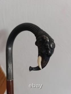 Old Cannes Elephant Solid Silver Protected Colonial Exhibition