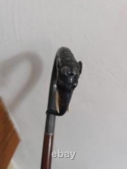 Old Cannes Elephant Solid Silver Protected Colonial Exhibition