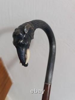 Old Cannes Elephant Solid Silver Protected Colonial Exhibition