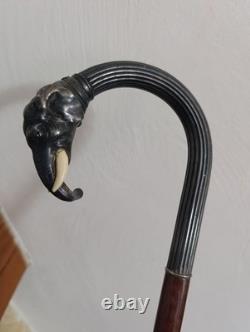 Old Cannes Elephant Solid Silver Protected Colonial Exhibition