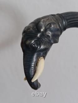Old Cannes Elephant Solid Silver Protected Colonial Exhibition
