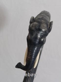 Old Cannes Elephant Solid Silver Protected Colonial Exhibition