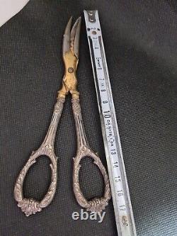 Old Pair Of Scissors A Raisins Silver Massif Ref E477