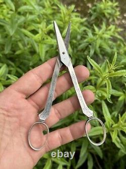 Old Pair of Solid Silver Grape Scissors with Minerva Hallmark from France & Silversmith