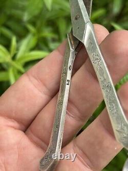 Old Pair of Solid Silver Grape Scissors with Minerva Hallmark from France & Silversmith
