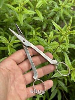Old Pair of Solid Silver Grape Scissors with Minerva Hallmark from France & Silversmith
