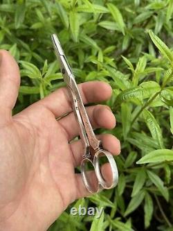 Old Pair of Solid Silver Grape Scissors with Minerva Hallmark from France & Silversmith