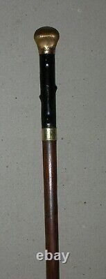 Old Walking Rod With Anti-cane Paw