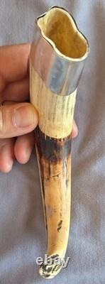 Old warthog tooth with solid silver ring Curiosity Cabinet Cities ok