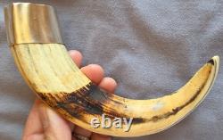 Old warthog tooth with solid silver ring Curiosity Cabinet Cities ok