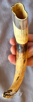 Old warthog tooth with solid silver ring Curiosity Cabinet Cities ok