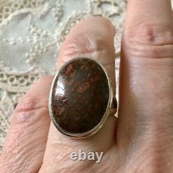 Rare Authentic Dinosaur Fossile Ancient Silver Ring Unique Massive