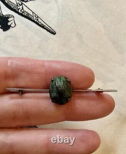 Rare Genuine Scarab Ancient Solid Silver Brooch, Splendid