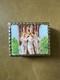 Small Antique Box Made Of 800 Solid Silver Enamelled With The Theme Of Three Women In Nature