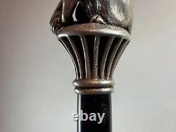 Solid Silver Antique Cane with Art Nouveau Cat Handle Wildlife Decoration