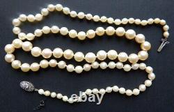 Ancien Collier perles culture fermoir ARGENT massif necklace pearl