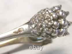 Ancienne Pince A Sucre Argent Massif Patte Lion Griffe Silver Sugar