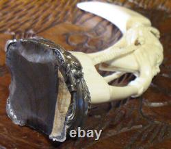 Phacochère, or 18K, argent massif, deux perles, ancienne dent sculptée, Unique