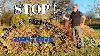 Potager Youtube Business Ecologie Msv R Flexion Bilan Remise En Question Projection
